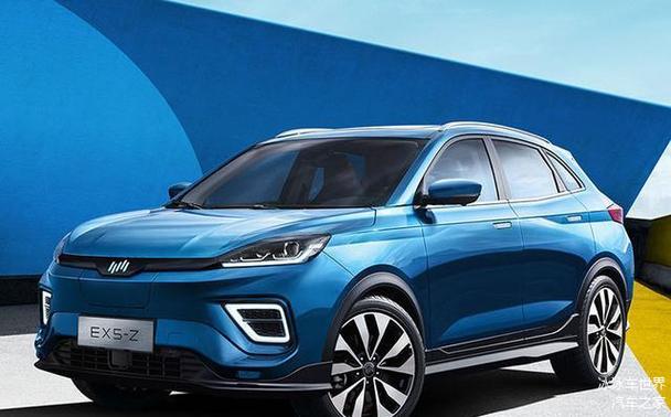 深圳龙华区耀环康企业管理咨询WEY威派豪华SUV市场的黑马，零跑汽车与智能交通系统的协同